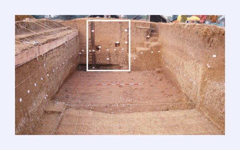 Excavations in the Paleolithic Site of Attirampakkam in India