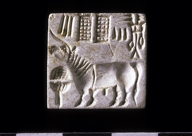 A square steatite unicorn seal with a unique inscription was found in the street debris on the inside of the city wall. The two sets of signs on the right hand side of the seal would appear in reverse, i.e. be on the left, when it was pressed into clay. Harappan Period, c. 2300 BC.