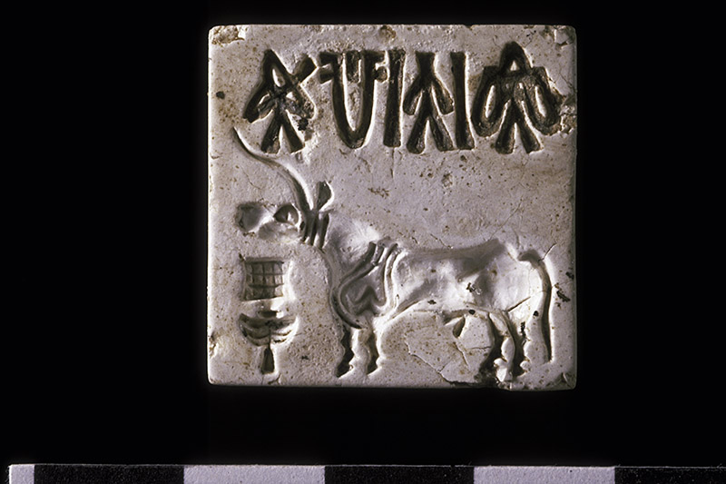 Unicorn seal from Trench 37, which lies to the east of the "Granary." This type of seal comes from levels dating to Harappa Phase Period 3B. Similar seals were found near the "granary" in 1997.