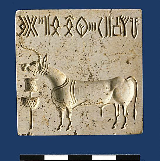 Large unicorn seal (H99-4064/8796-01) found on the floor of Room 591 in Trench 43, dating to late Period 3C. This is one of the largest seals found from any Indus site.